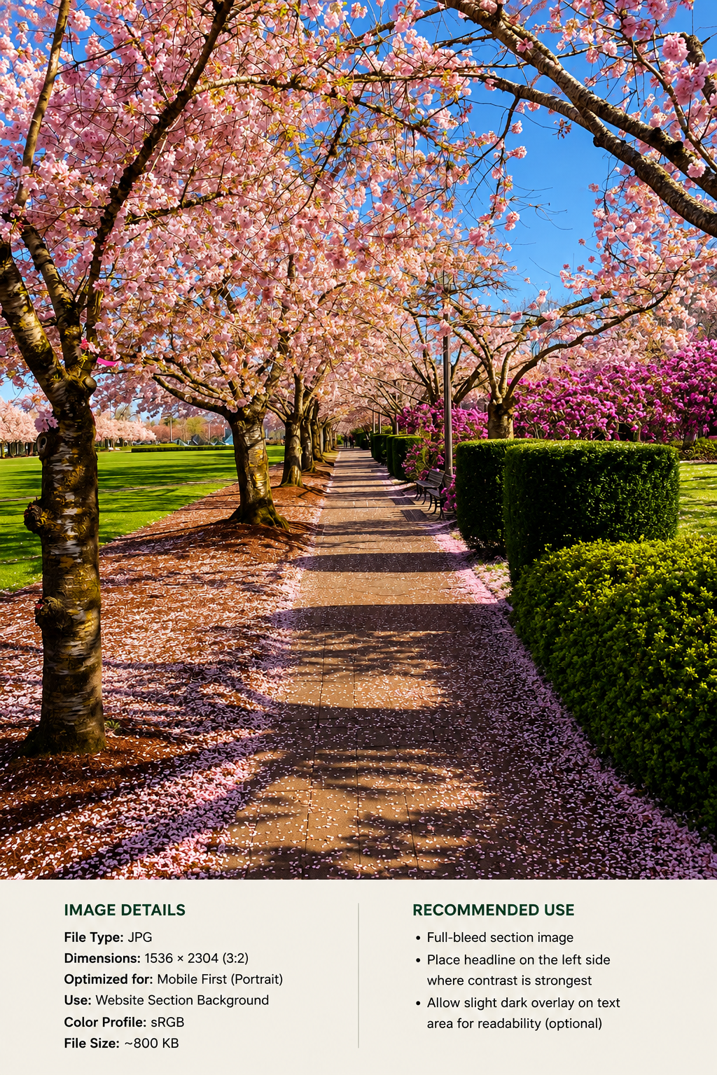 Cherry trees forming a walkway through an Oregon landscape